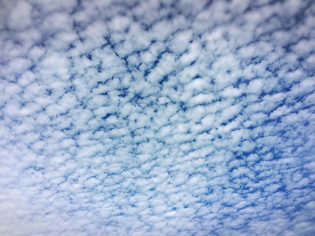 ひつじ雲 と うろこ雲 を見分ける Hiroshima Times ひろしまnews