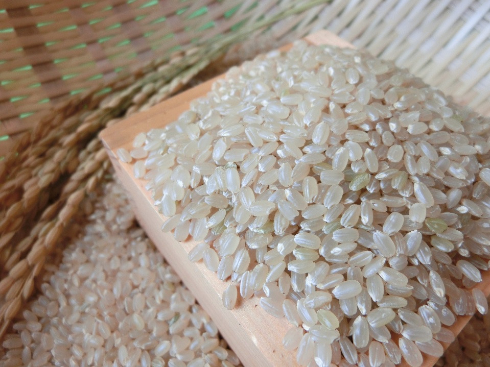 効果 酵素 玄米